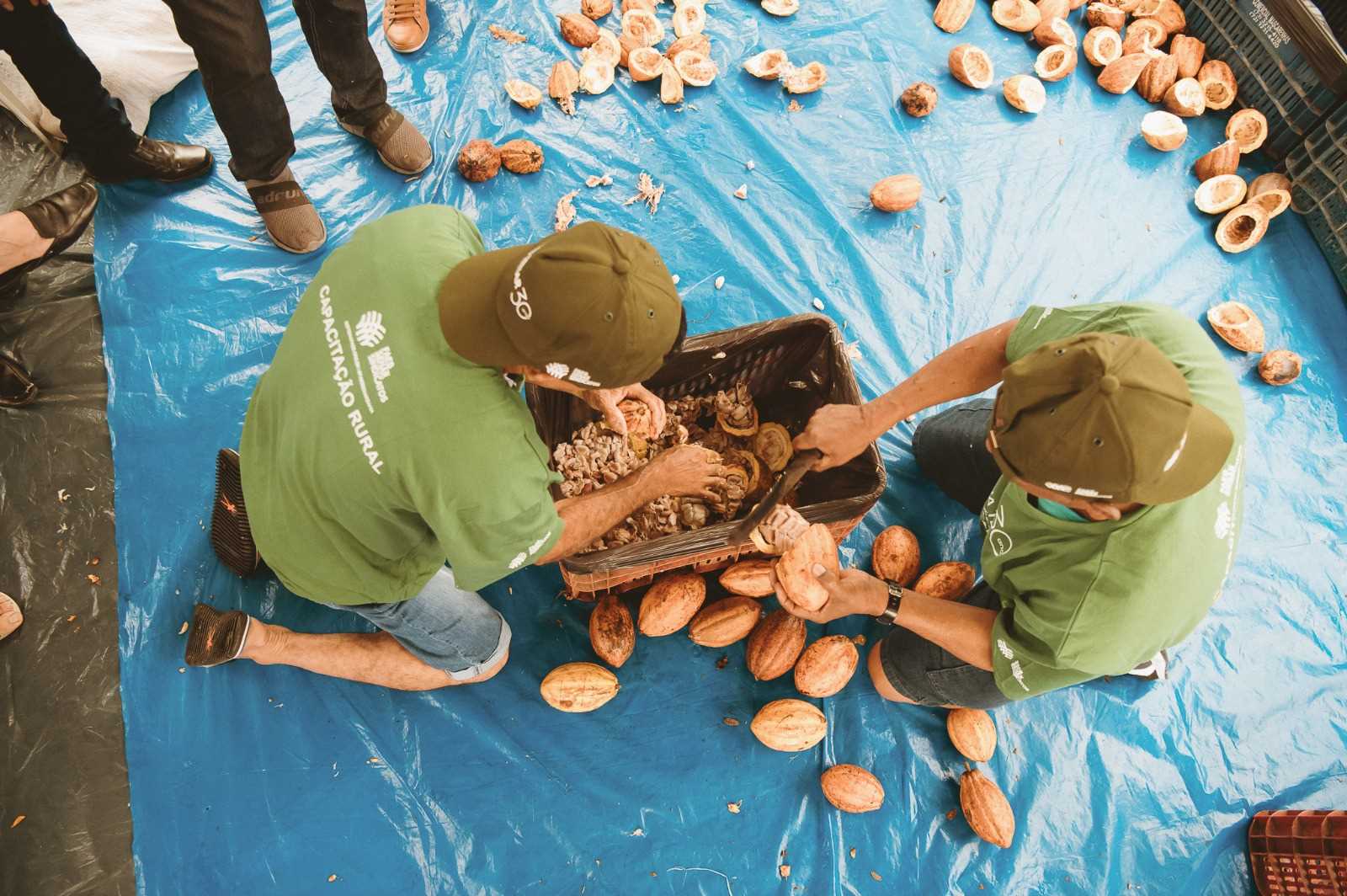 Camacã: Torneio de Quebra do Cacau é marcado com surpresas e muita emoção 

